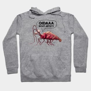 WTF - For real? - Lobster Hoodie